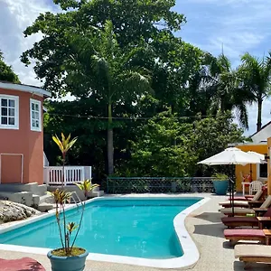 Bed and breakfast The Blue Orchid, Montego Bay